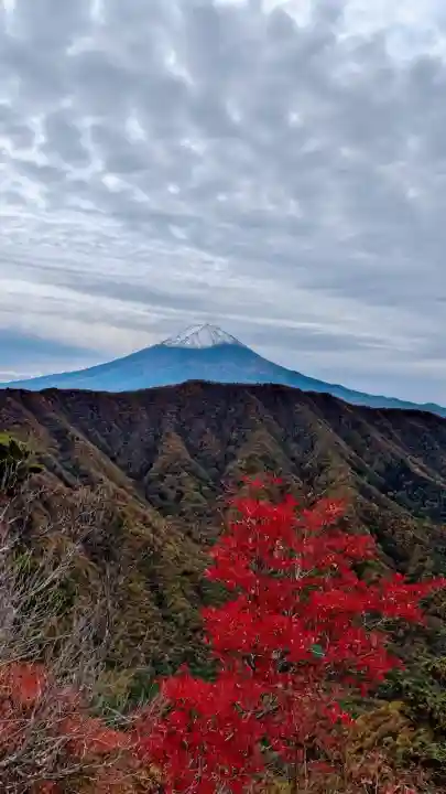 菊田神社(千葉県)