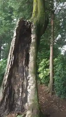 八幡神社(茨城県)