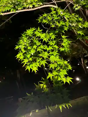 北野天満宮(京都府)