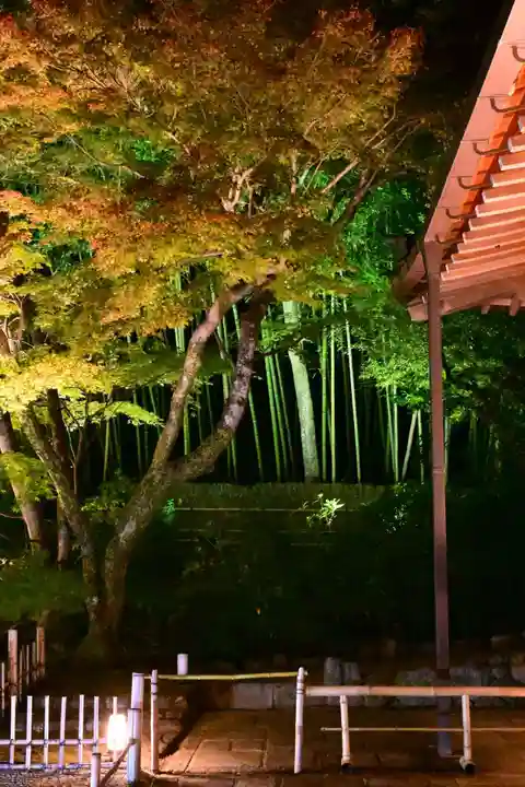 宝厳院(京都府)