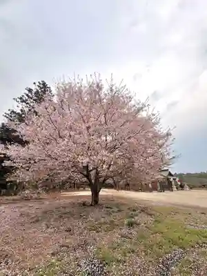 鹿嶋三嶋神社(茨城県)