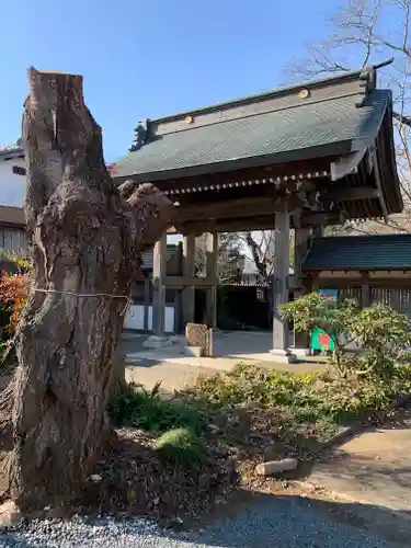 神宮寺の山門