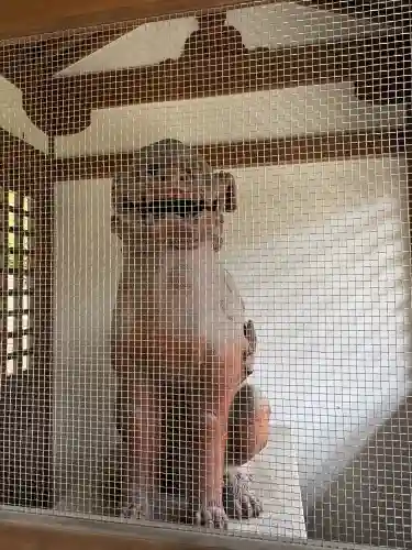 白島稲荷神社(広島県)