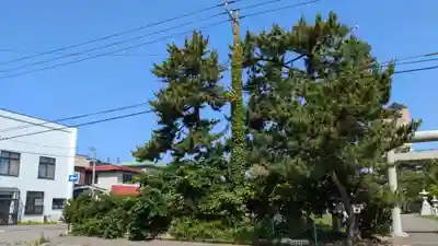 豊川稲荷神社の自然