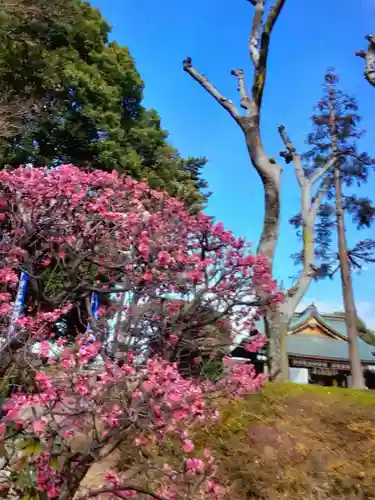 中野沼袋氷川神社(東京都)