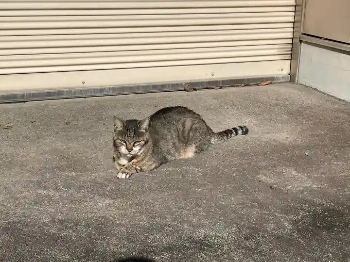 白金氷川神社(東京都)