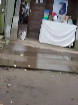 戸越八幡神社の本殿・本堂