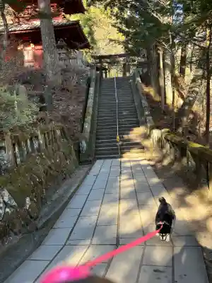 榛名神社の{uncategorized: "未分類", other: "その他", undefined: "問題あり", building: "その他建物", grave: "お墓", sacred_gate: "鳥居", guardian: "狛犬", statue: "像", buddha: "仏像", history: "歴史", nature: "自然", garden: "庭園", animal: "動物", pagoda: "塔", temizu: "手水舎", mountain_gate: "山門・神門", sanctuary: "本殿・本堂", subordinate: "末社・摂社", art: "芸術", scenery: "景色", jizo: "地蔵", ema: "絵馬", goshuin: "御朱印", omikuji: "おみくじ", items: "授与品その他", amulet: "お守り", goshuincho: "御朱印帳", eats: "食事", festival: "お祭り", votive_dance: "神楽", shichigosan: "七五三参", wedding: "結婚式", experience: "体験その他", initially: "初詣", around: "周辺", anti_infection: "感染症対策"}