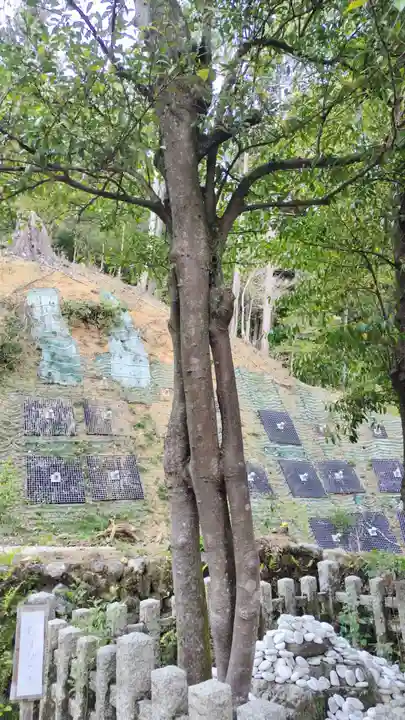 月読神社(松尾大社摂社)の自然