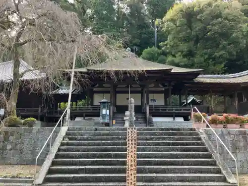 金剛寺(大阪府)