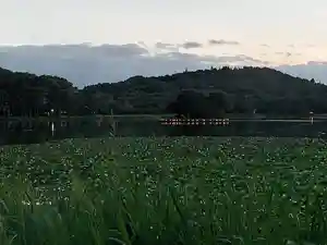 南湖神社の周辺(2021年08月04日(水) 12時02分28秒投稿)