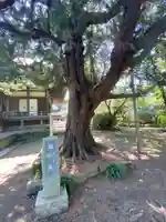 宝戒寺(神奈川県)