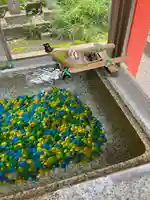 くまくま神社(導きの社 熊野町熊野神社)(東京都)