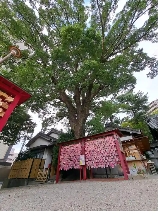 菅生神社(愛知県)