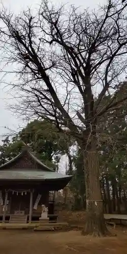 東田原神社のその他建物