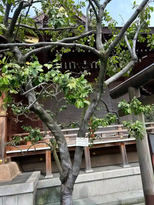 大鳥神社(東京都)