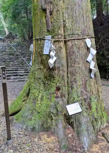元伊勢内宮 皇大神社(京都府)