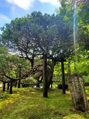 円通院(宮城県)