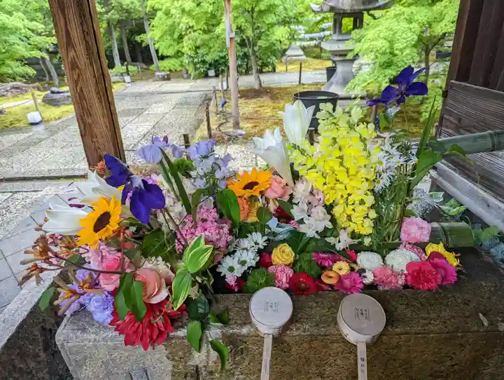 勝林寺(京都府)