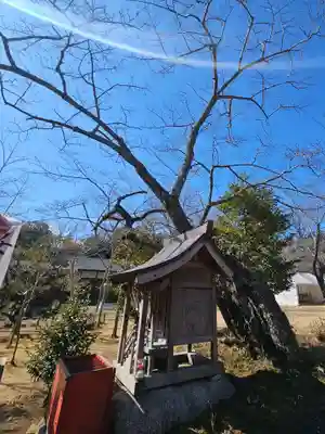 桜宮(茨城県)