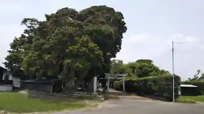 八幡神社の周辺