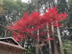 大宮温泉神社の自然