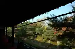 相国寺（相国承天禅寺）の庭園