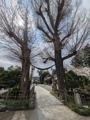 亀ケ池八幡宮(神奈川県)