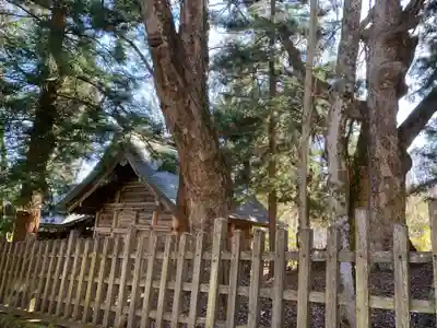 諏訪大社上社前宮の本殿・本堂