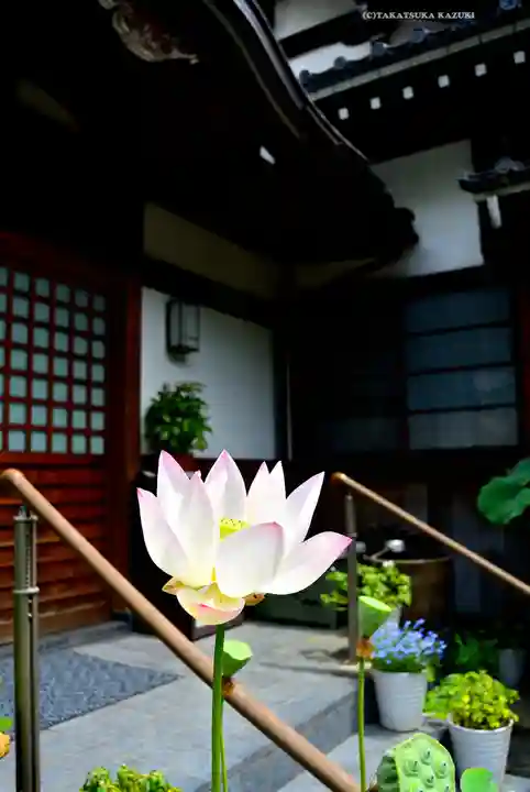 泥牛庵(神奈川県)