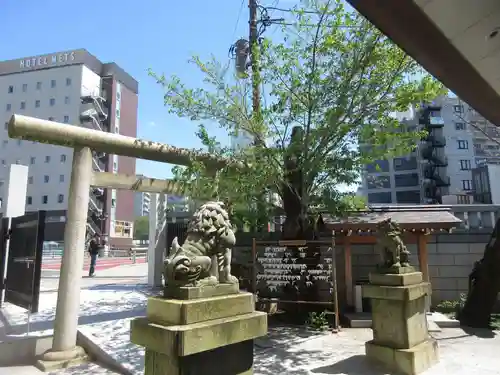 大國神社の鳥居