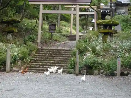 公時神社の動物