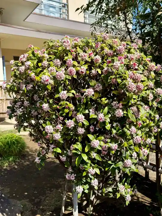 福王山 慈眼寺(東京都)