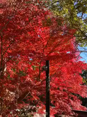 鎌倉宮(神奈川県)