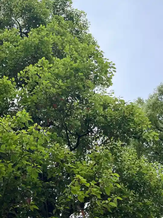 蒲田八幡神社(東京都)