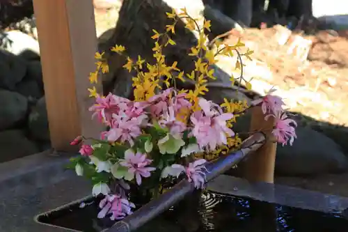 高司神社〜むすびの神の鎮まる社〜の手水舎