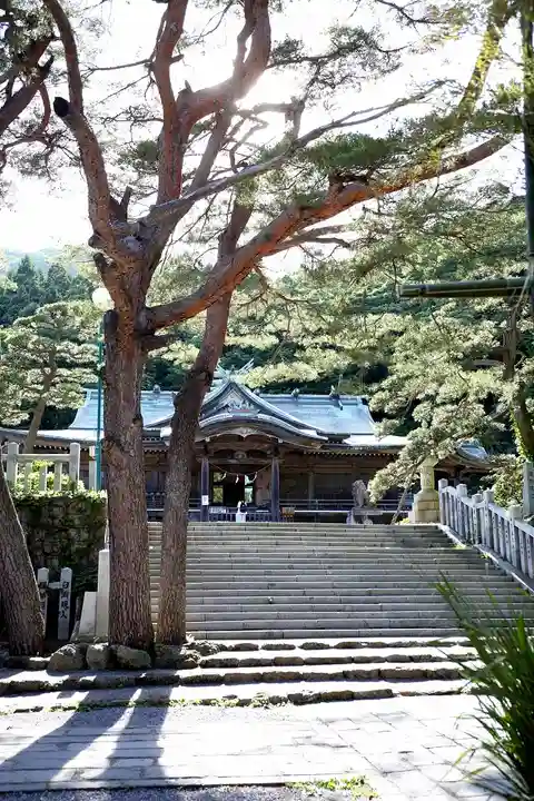 函館八幡宮の自然