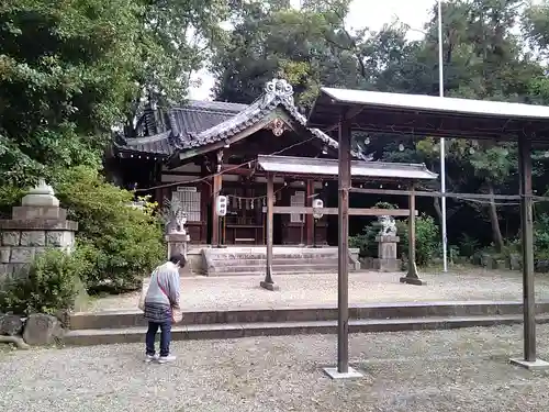 蝮ヶ池八幡宮の本殿・本堂