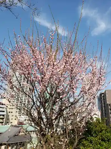 重秀寺の庭園