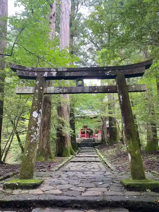 瀧尾神社(日光二荒山神社別宮)(栃木県)
