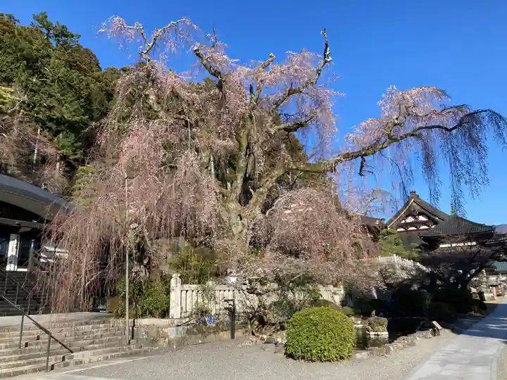 久遠寺(山梨県)