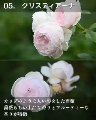 宝光寺(北海道)