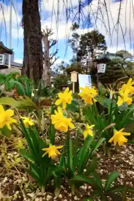 常性寺(東京都)