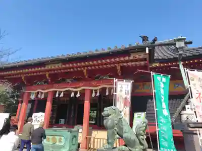浅草神社の本殿・本堂
