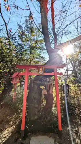冠稲荷神社の鳥居