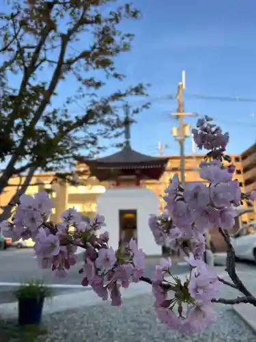 本唱寺(大阪府)