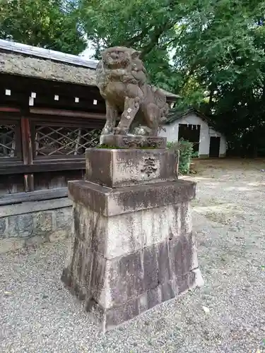 石坐神社の狛犬