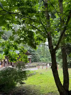 伊佐須美神社(福島県)