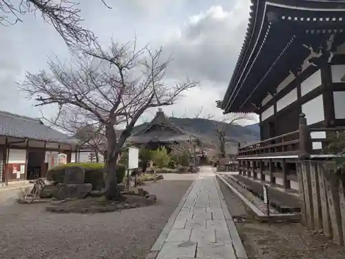 橘寺(奈良県)