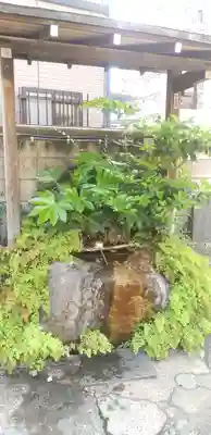 水天宮の手水舎